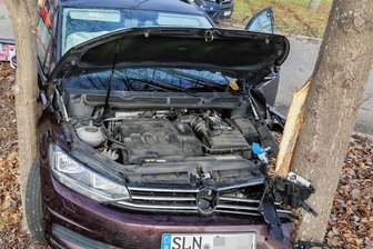 Mann fährt mit VW gegen zwei Bäume - Das Fahrzeug wurde im Meeraner Gewerbegebiet von zwei Bäumen gestoppt.