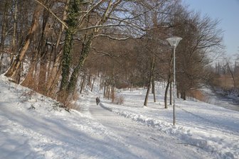 Mann fällt im Chemnitzer Stadtpark über 62-Jährige her - Die Tat ereignete sich laut Polizei im nördlichen Teil des Chemnitzer Stadtparks.