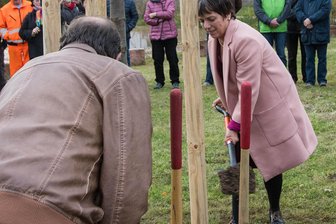 Margot Käßmann pflanzt Lutherlinde in Penig -
