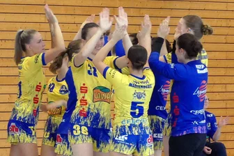 Marienbergs Oberliga-Handballerinnen vor Reifeprüfung - Im Heimspiel gegen die Sportfreunde Dresden wollen die jungen HSV-Damen endlich wieder jubeln.