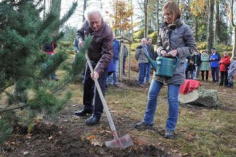 Markneukirchen will kein Baum-Denkmal für die Deutsche Einheit - Baum-Denkmal Morgenröthe-Rautenkranz: 2014 setzten Kosmonaut Sigmund Jähn und Yvonne Magwas (CDU) eine Kiefer.