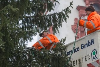 Markt: 800 Lampen für den Weihnachtsbaum - 