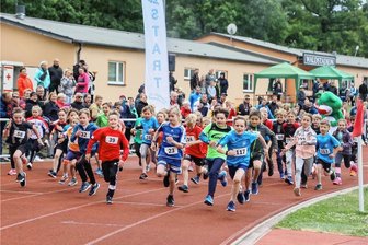Marktlauf in Limbach-Oberfrohna: Auch die Kleinsten können mitlaufen - Am Samstag um 10 Uhr fällt der Startschuss für die ersten Läufe beim Limbacher Marktlauf im Waldstadion.