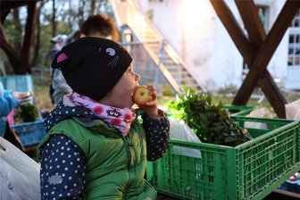 „Marktschwärmer“ schwärmen ab sofort nach Crimmitschau aus - Knackiges Obst aus der Region gibt es ab sofort auch bei den „Marktschwärmern“ im Bahnhof Crimmitschau.