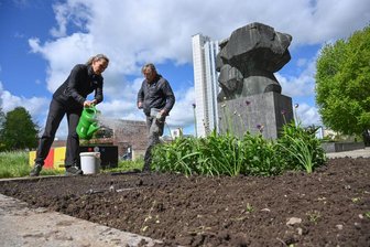 Marx-Monument in Chemnitz soll wieder erblühen - Ulrike Voigt und Matthias Höppner säen eine Blühmischung auf einem der Beete am Marx-Monument aus. Nun muss es regnen und die Sonne scheinen, damit es an der Brückenstraße schnell bunt wird.