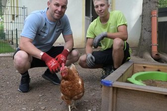 Mattenfüchse helfen Tieren -