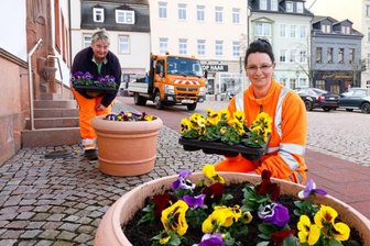 Meerane beginnt mit der Frühjahrsbepflanzung im Stadtzentrum - 