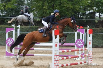 Meeraner Pferdesportverein meistert beim Heimspiel alle Hürden - Rosalie Donath-Franke vom Meeraner Pferdesportverein wurde auf April´s Little Sunshine Dritte in der Springpferdeprüfung A* über 90 Zentimeter hohe Hindernisse.