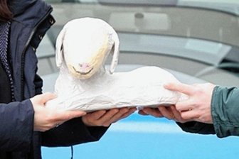 Meeraner stiehlt Schaf aus Krippe - Das Lamm aus Pappmaché konnte am Montag wieder an seine rechtmäßigen Besitzer zurückgegeben werden.