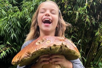 Mega-Pilz mit 2330 Gramm! Laney aus Erdmannsdorf kann es kaum fassen - Riesenfreude bei Laney Kröber über ihren sensationellen Fund, einen 2330 Gramm schweren Steinpilz.