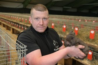 Mehr als 1000 Minikaninchen in Thalheim -