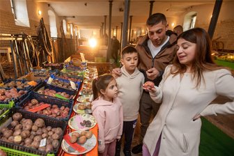 Mehr als 300 Kartoffelsorten in einer Ausstellung: Vogtländischer Kartoffelpapst Steffen Janke im Plauener Pfaffengut - Auch für Familien lohnt der Ausstellungsbesuch.