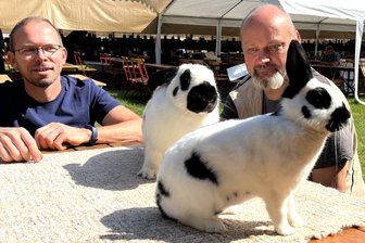 Mehr als 300 Rassekaninchen in Rochlitz - Deutsche Riesenschecke und Zwergschecke zur Schau im August in Rochlitz.