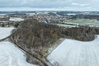 Mehr Artenvielfalt und Naturschutz: Sachsenforst überlässt 55 Hektar im Rochlitzer Wald sich selbst - Ein Teil des nördlichen Rochlitzer Waldes wird künftig nicht mehr durch den Sachsenforst bewirtschaftet. Damit soll der Wald wiederstandfähiger und die Artenvielfalt gefördert werden.