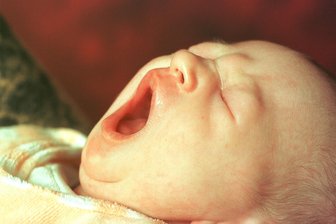 Mehr Babys für Adorf: Warum ein Bürgermeister öffentlich zum Kinderkriegen aufruft - Ist die Adorfer Zukunft zum Gähnen? Bürgermeister Rico Schmidt (SPD) ist durch die niedrige Geburtenrate in diesem Jahr alarmiert.