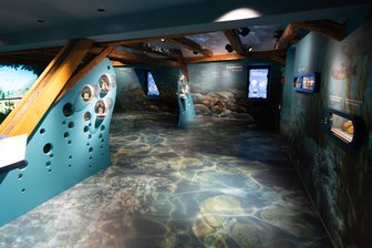 Mehr Besucher als erwartet: Großes Interesse an neuem Perlmutter-Museum im Vogtland - Die oberste Etage des Erlebnismuseums Perlmutter zeigt das natürliche Lebensumfeld der Flussperlmuschel.