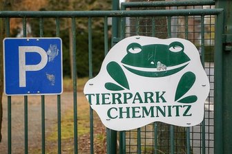 Mehr Besucher nach dem Umbau: Wie der Verkehr am Chemnitzer Tierpark künftig laufen soll - In der Umgebung des Tierparks ist der Parkraum an manchen Tagen knapp und Anwohner beklagen sich über das erhöhte Verkehrsaufkommen. Die Stadtverwaltung lässt deshalb ein Verkehrskonzept erstellen. 