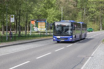 Mehr Busse zum Stausee? Chemnitzer Rathaus sieht hohe Hürden - Die Linie 253 ist die einzige, die den Stausee Oberrabenstein direkt ansteuert. Am Wochenende kommt allerdings nur alle zwei Stunden ein Bus – zu selten, findet die Linke. Das Rathaus hat nun eine bessere Anbindung geprüft.