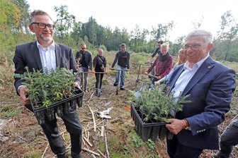 Mehr Grün für Stadtwald: TU Bergakademie Freiberg forstet auf - TU-Rektor Klaus-Dieter Barbknecht (r.) und Prorektor Andreas Horsch haben die Setzlinge dabei.