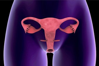 Mehr Sicherheit für Frauen - 