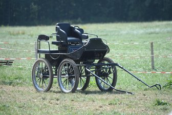 Mehrere Verletzte nach Unfall mit Pferdekutsche -
