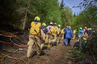 Mehrere Wald- und Vegetationsbrände fordern Einsatzkräfte - Bei Friesenhagen kämpften zeitweise mehr als 400 Kräfte gegen die Flammen.