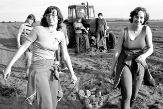 Mein „schrecklichster“ Ferienjob - Ferienarbeit in den 70ern. Die Erfahrung Feld- als Ferienarbeit machte auch eine „Freie Presse“-Redakteurin.