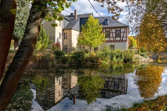 Meinung: Warum ein Göltzschtal-Pass zur Landesgartenschau 2029 ein gutes Angebot für die Einwohner von Auerbach und Rodewisch wäre - Die Rodewischer Schlossinsel gehört 2029 zum Kerngebiet der Landesgartenschau. Dann ist der Zutritt nur mit Tages- oder Dauerkarte möglich.