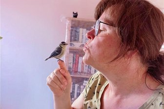 Meisen-Mama muss ihre Vögel ziehen lassen - aber wohin und kommen sie wieder? - Evelyn Pilz und ihr Mann nahmen am Pfingstsonntag drei Blaumeisenjunge in Obhut. Inzwischen sind sie ausgeflogen.