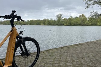 Messungen ergeben: Zwickauer Schwanenteich leicht radioaktiv belastet - Für die Angler wurde ein Platz für ihr Hobby eingerichtet. Fische aus dem Schwanenteich können ohne Bedenken verzehrt werden.