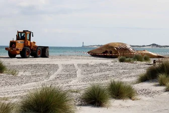 Metallplatten am Wal - Vorbereitung der Obduktion am Strand - Die Vorbereitungen für die Obduktion am Donnerstag laufen. 