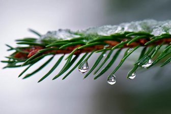 Meteorologen: Statt weißen Weihnachten gibt es Regen und Wind - 