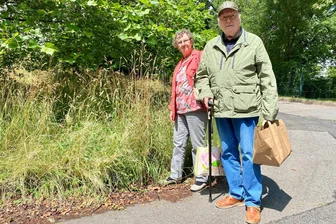 Meterhohes Gras in Chemnitzer Wohngebieten: „Das gab es früher nicht“ - Keine Wanderung durch Feld und Flur, sondern der tägliche Weg durchs Wohngebiet: Karin und Rolf Illing fühlen sich wohl in ihrem Viertel. Doch das hohe Gras an vielen Stellen ärgert sie.