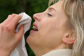 Milder Winter: Pollenflug plagt Allergiker - 