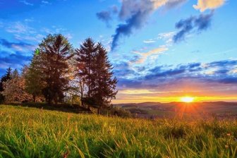 Millionenförderung für Naturschutzgroßprojekt - Zum Schutz von Bergwiesen, Teichen, Mooren und Wäldern in der historischen Bergbaulandschaft des Erzgebirges sollen mehr als 20 Millionen Euro investiert werden.
