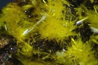Mineralien: Sehr seltener Fund erstmals in Oelsnitz - Der Yingjiangit aus Tirpersdorf ist in Oelsnitz zu sehen. 