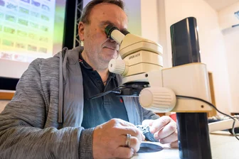 Mineralientauschbörse in Mühlau: Seltene Schätze und Exoten aus aller Welt wechseln die Besitzer - Michael Schönfeld untersucht am Mikroskop einen Hämatit. Erst bei etwa 40-facher Vergrößerung lässt sich die Art des Gesteins bestimmen.