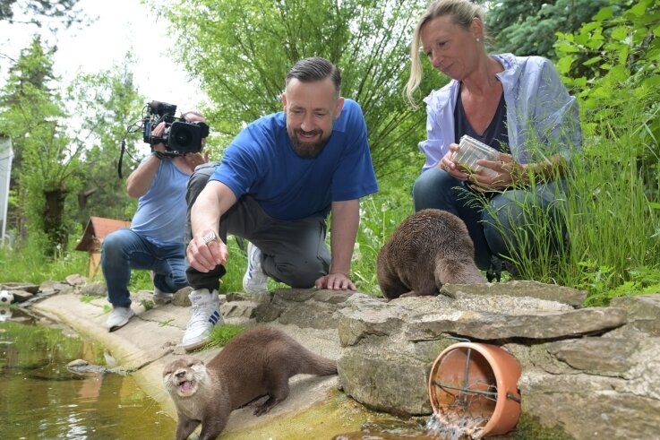 Mini-Tiere locken Fernsehteams und Promis - Dass Bürger Lars Dietrich (vorn) bei den Dreharbeiten die Patenschaft über die Otter übernommen hat, freut Zoochefin Bärbel Schroller. 