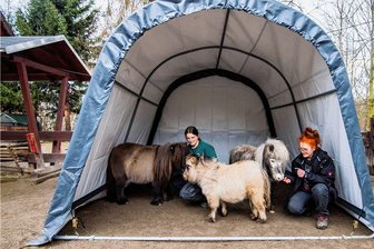 Minis im Auer Tierpark jetzt bei Regen gut geschützt -