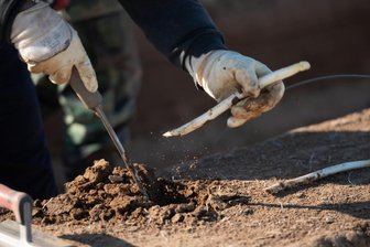 Minister rufen Studierende zu Mitarbeit in Landwirtschaft auf -