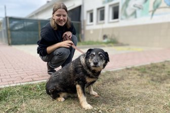 Mirkos erstaunliche Reise: Vom „traurigsten Hund“ zum heimlichen Star des Tierheims Kandelhof im Vogtland - Die ehrenamtliche Helferin Johanna Schwenk und Langzeitbewohner Hund Mirko im Tierheim Kandelhof.