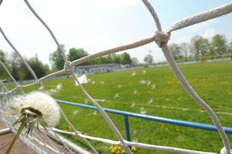 Misere im Chemnitzer Sport: Athletic Sonnenberg ist kein Einzelfall - In Chemnitz gibt es einige Dutzend Fußballplätze. Doch längst nicht jeder Verein hat eine eigene Anlage für seine Mannschaften.