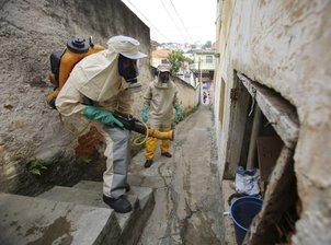 "Mistvieh" mit brillanten Strategien - Wie hier in Sao Paulo in Brasilien gehen die Behörden seit Wochen mit Pestiziden gegen die Mückenplage vor.