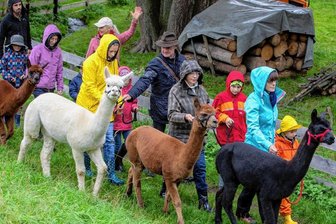 Mit Alpakas auf Tour im Vogtland: Wie sich eine Geschäftsidee entwickelt hat - Egal, welche Kapriolen das Wetter macht: Romy Biedermann (weiße Mütze) und ihr Mann Edgar (mit Hut) laufen immer gern mit ihren Vierbeinern. Und stecken andere mit dieser Leidenschaft auch an Regentagen an. 