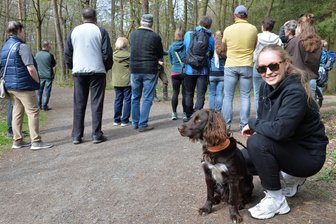 Mit dem Freiberger Revierförster unterwegs: Jagdhund Novi zieht die Blicke auf sich -