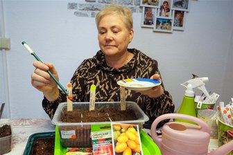 Mit der Tomatenqueen durchs Gartenjahr: Start frei für die Aussaat - Bei Tomatenqueen Swetlana Hüttnerkommen die einzelnen Tomatensamen im Abstand von zwei bis drei Zentimetern einzeln in die vorbereitete Erde.