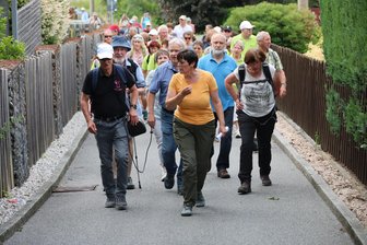 Mit etwas Glück gibt’s Orchideen: „Freie Presse“-Erlebniswanderung führt im Erzgebirge auf Bärenrundweg - Die Wanderer auf dem Bärsteig in Bernsbach. Vorn: Wanderleiterin Ute Ficker.
