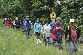 Mit Familientour: Premiere für Oelsnitzer Sperkenwanderung - Die Schilbach-Wanderung hat ab Samstag mit der Oelsnitzer Sperkentour einen Nachfolger.