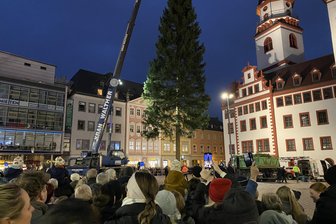 Mit Glühwein und Partymusik: Hunderte Chemnitzer begrüßen Weihnachtsbaum - Gegen 17.30 Uhr richtete ein Kran den Baum auf und verankerte ihn im Boden.