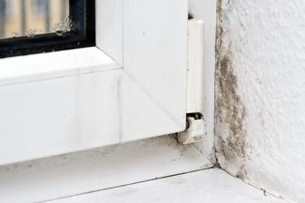 Mit Hochprozentigem werden Sie Schimmel los - Mit 70-prozentigem Ethylalkohol soll sich kleinflächiger Schimmelpilz in der Wohnung beseitigen lassen.
